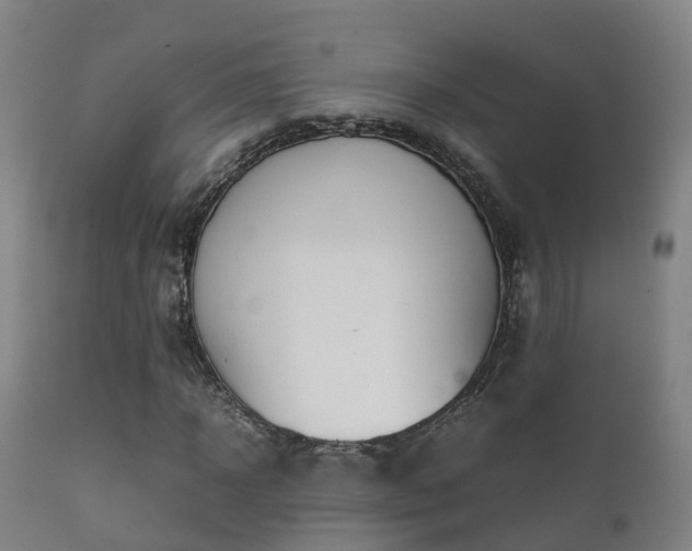 X0000112090918200908111349