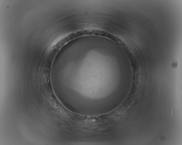 X0000112090919200908111349