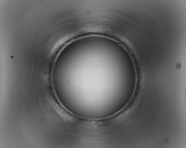 X0000112090922200908111349