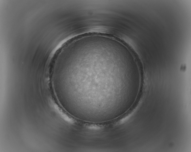 X0000112090923200908111349