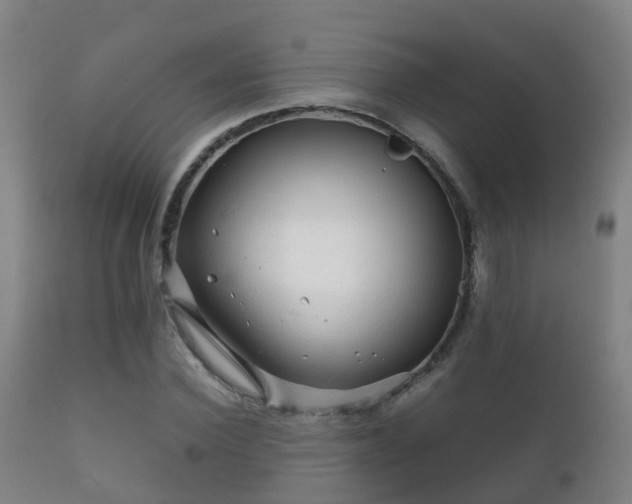 X0000112090924200908111349