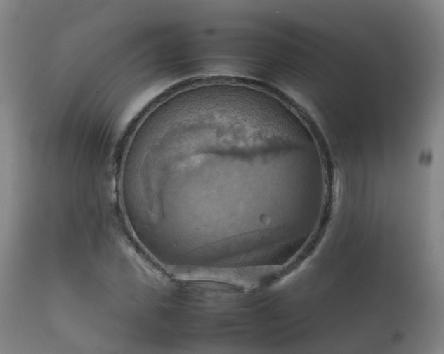 X0000112090925200908111349