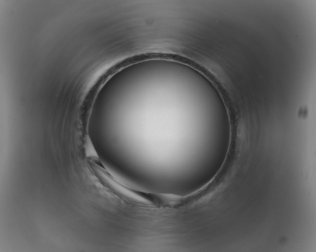 X0000112090926200908111349