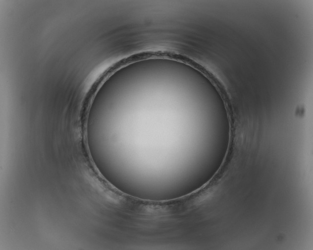 X0000112090927200908111349