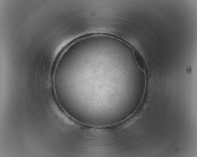 X0000112090928200908111349