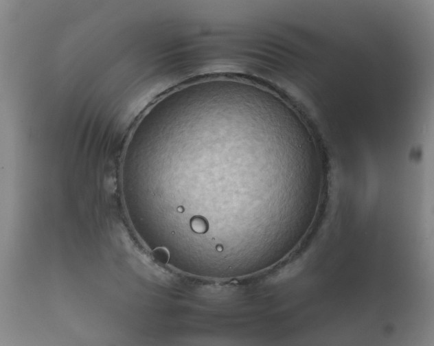 X0000112090929200908111349