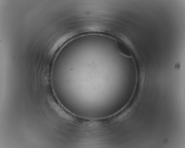 X0000112090930200908111349