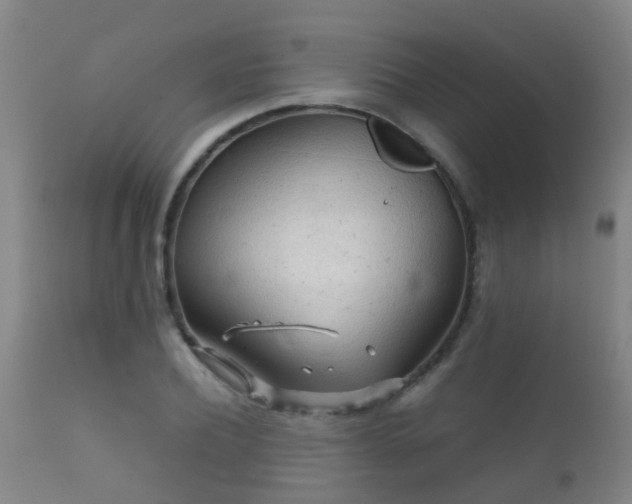 X0000112090932200908111349