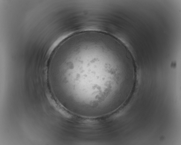 X0000112090933200908111349