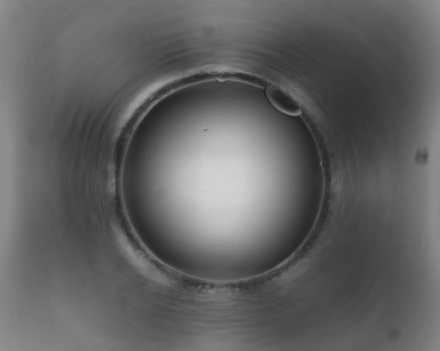 X0000112090934200908111349