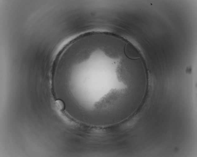 X0000112090935200908111349