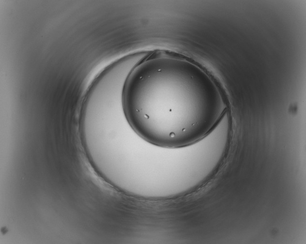 X0000112090936200908111349