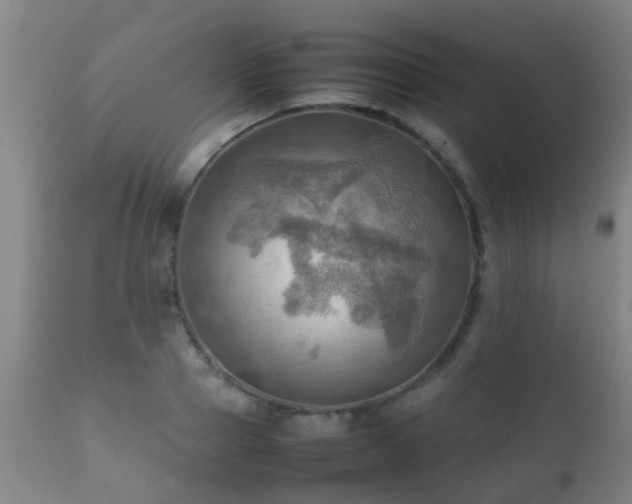 X0000112090937200908111349