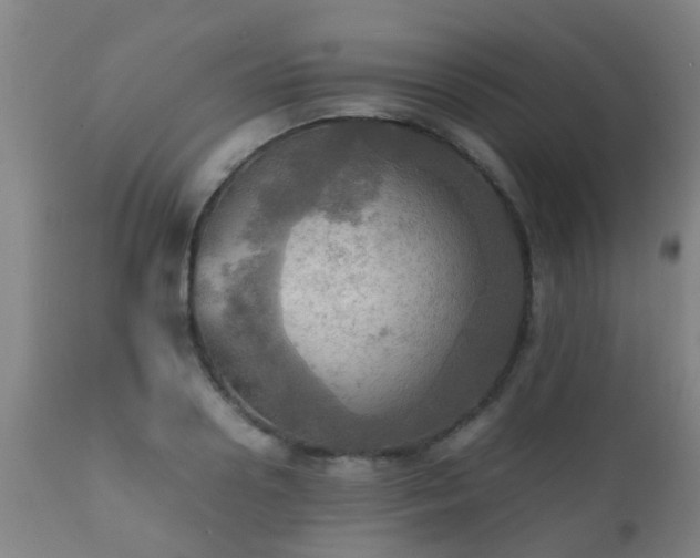 X0000112090938200908111349