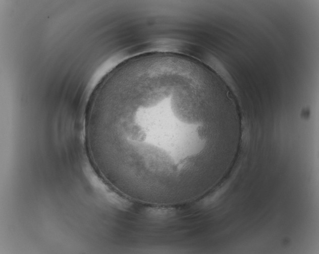 X0000112090939200908111349