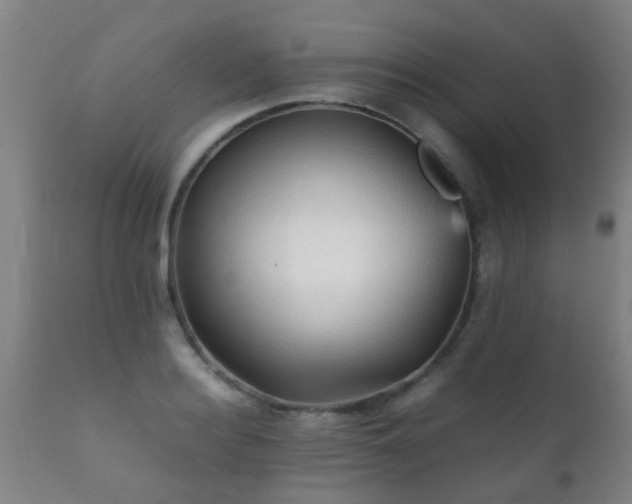 X0000112090940200908111349