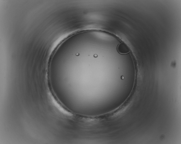 X0000112090941200908111349