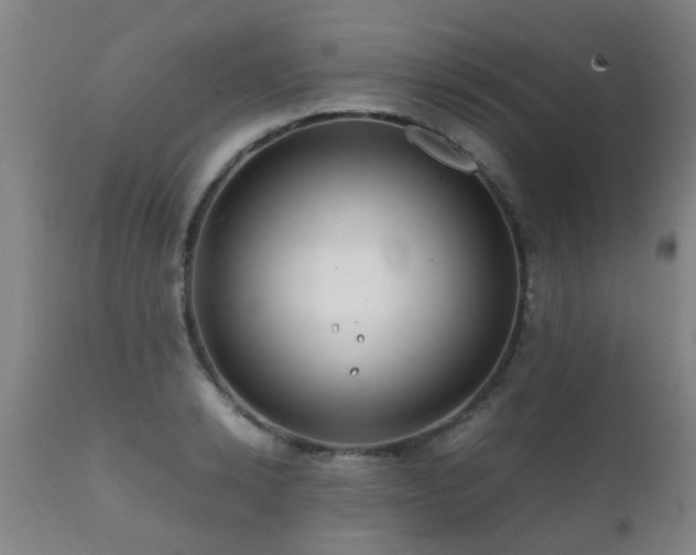 X0000112090942200908111349