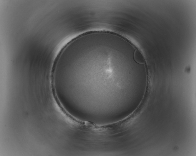 X0000112090943200908111349