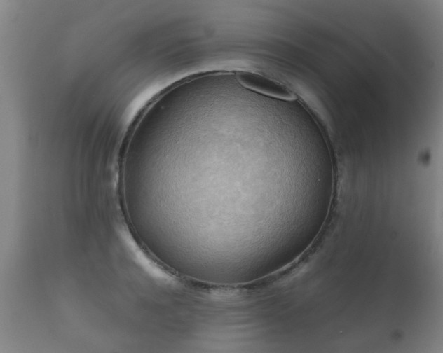 X0000112090944200908111349