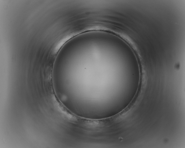 X0000112090945200908111349