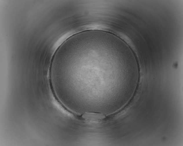 X0000112090946200908111349