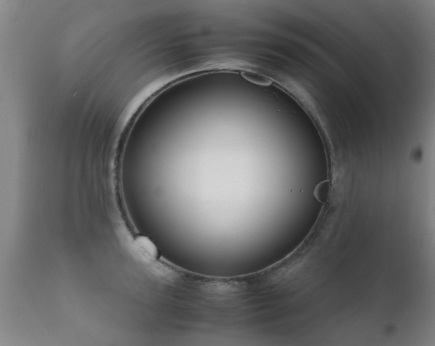 X0000112090947200908111349