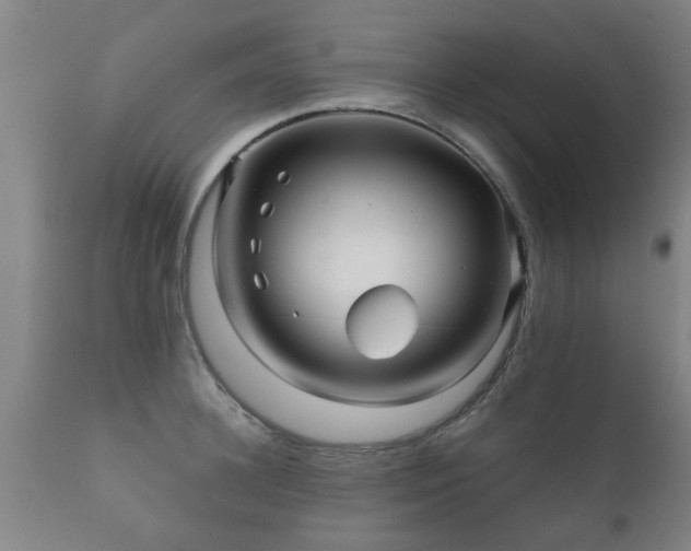 X0000112090948200908111349