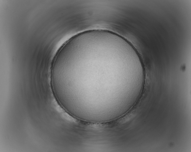 X0000112090950200908111349