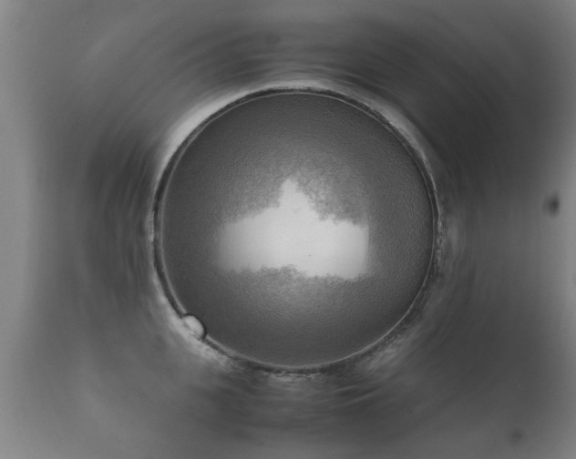 X0000112090951200908111349