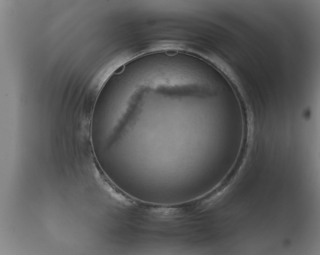 X0000112090953200908111350