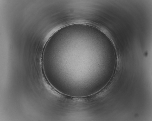 X0000112090954200908111350