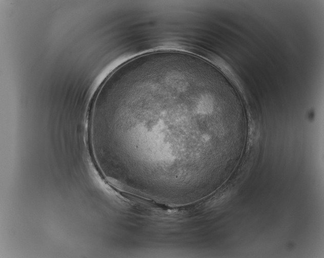 X0000112090955200908111350