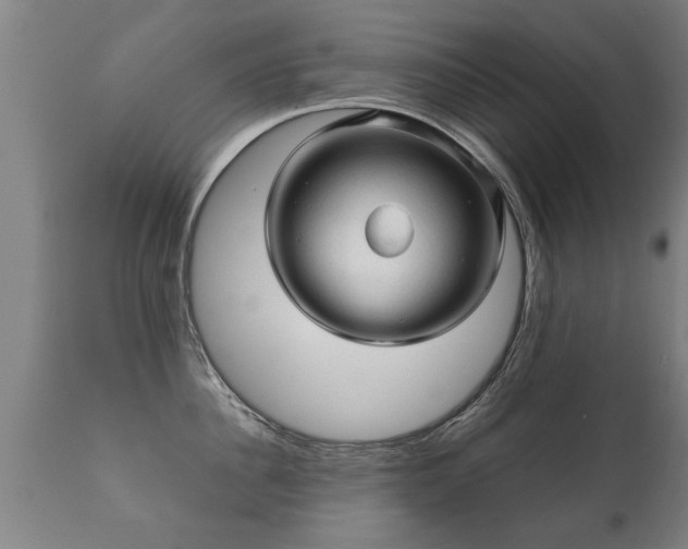 X0000112090956200908111350