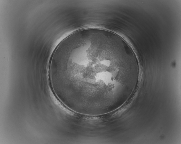 X0000112090957200908111350