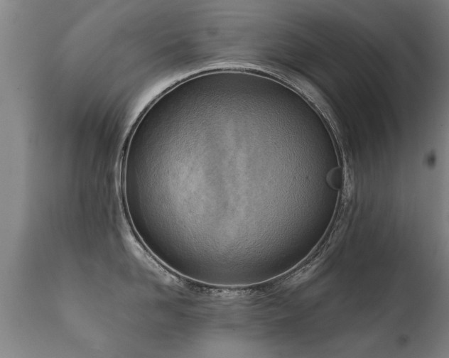 X0000112090958200908111350