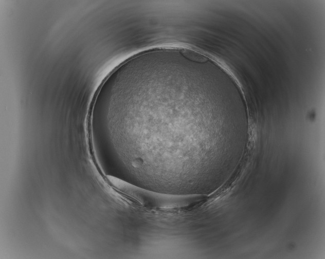 X0000112090959200908111350