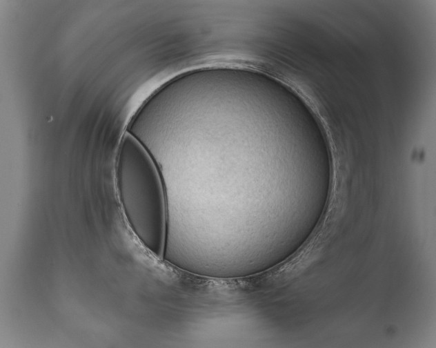 X0000112090960200908111350