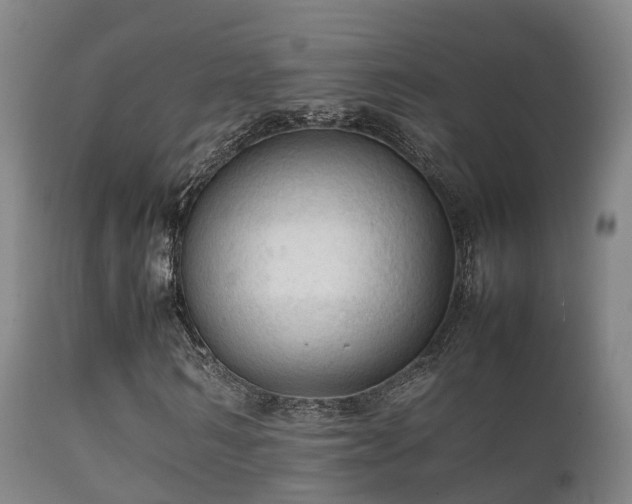 X0000112090962200908111349