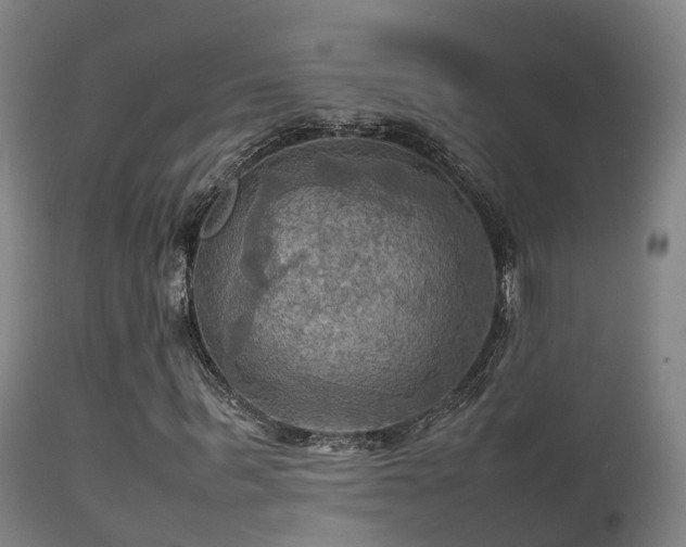 X0000112090963200908111349