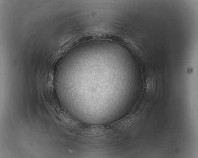 X0000112090964200908111349