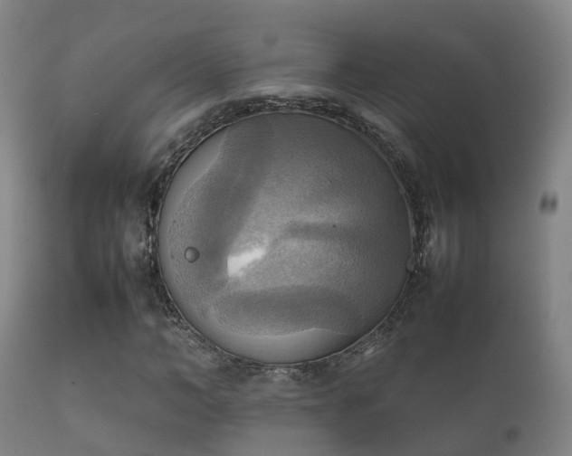 X0000112090966200908111349