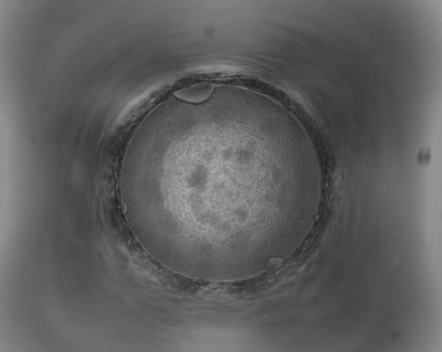 X0000112090967200908111349