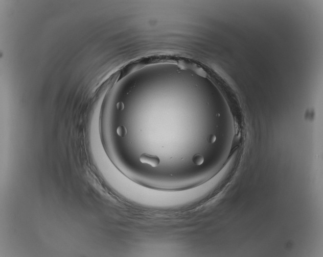 X0000112090969200908111349