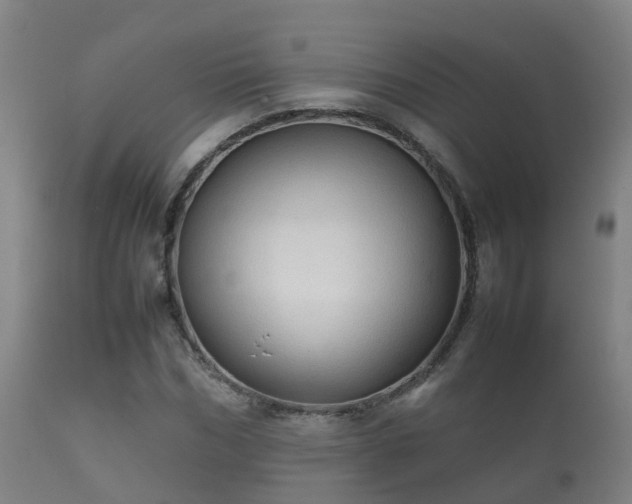 X0000112090970200908111349