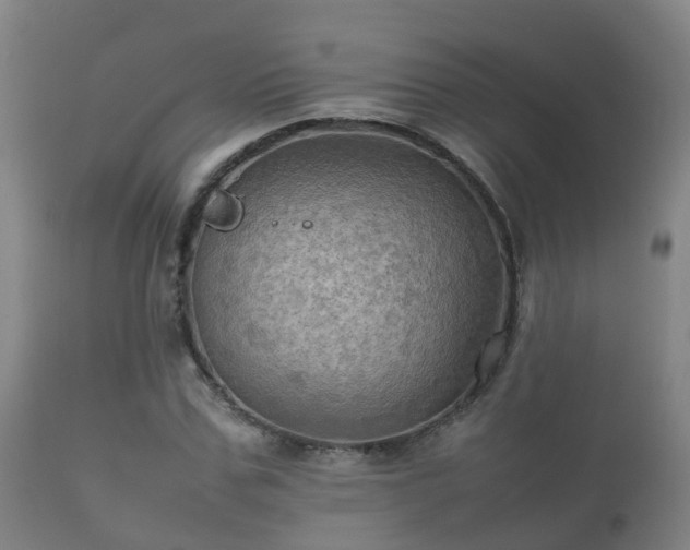 X0000112090971200908111349