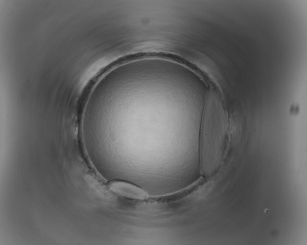 X0000112090973200908111349