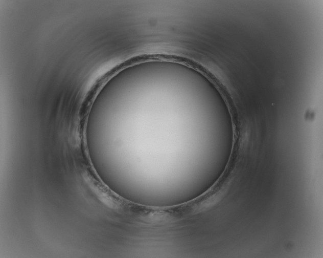 X0000112090974200908111349