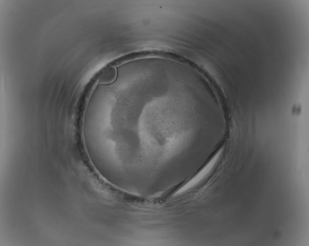 X0000112090975200908111349