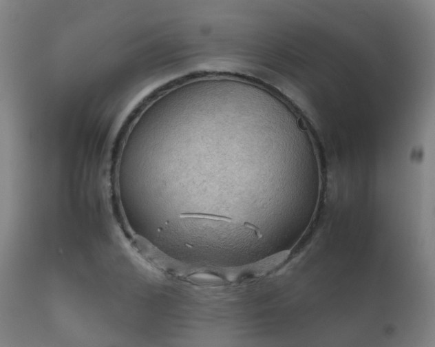 X0000112090976200908111349